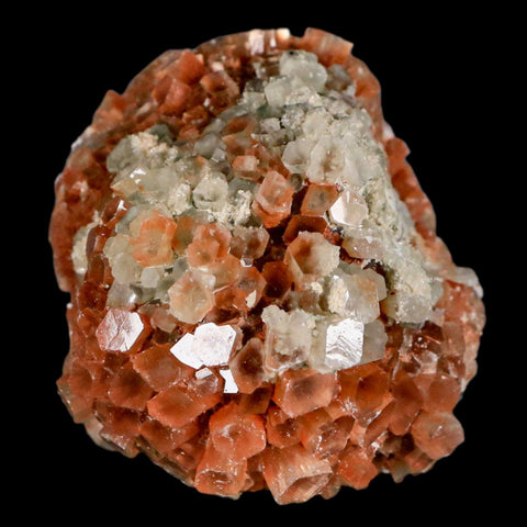 2.4" Aragonite Mineral Two Tone Crystal Cluster Specimen Tazouta Morocco - Fossil Age Minerals