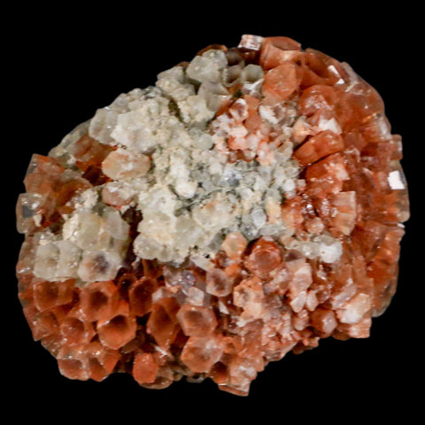 2.4" Aragonite Mineral Two Tone Crystal Cluster Specimen Tazouta Morocco - Fossil Age Minerals