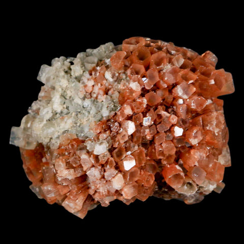 2.4" Aragonite Mineral Two Tone Crystal Cluster Specimen Tazouta Morocco - Fossil Age Minerals