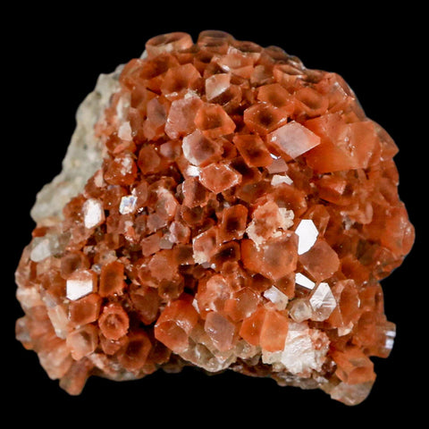 2.4" Aragonite Mineral Two Tone Crystal Cluster Specimen Tazouta Morocco - Fossil Age Minerals
