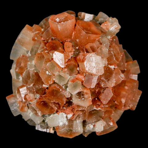 1.8" Aragonite Mineral Two Tone Crystal Cluster Specimen Tazouta Morocco - Fossil Age Minerals