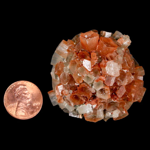 1.8" Aragonite Mineral Two Tone Crystal Cluster Specimen Tazouta Morocco - Fossil Age Minerals