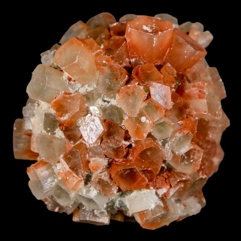 1.8" Aragonite Mineral Two Tone Crystal Cluster Specimen Tazouta Morocco - Fossil Age Minerals