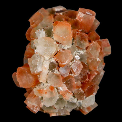 1.8" Aragonite Mineral Two Tone Crystal Cluster Specimen Tazouta Morocco - Fossil Age Minerals