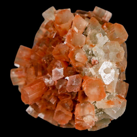 1.8" Aragonite Mineral Two Tone Crystal Cluster Specimen Tazouta Morocco - Fossil Age Minerals