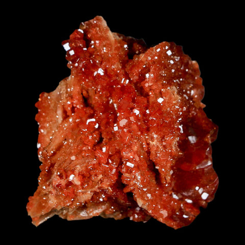 1.6" Sparkly Red Vanadinite Crystals On White Barite Blades Mineral Mabladen Morocco - Fossil Age Minerals