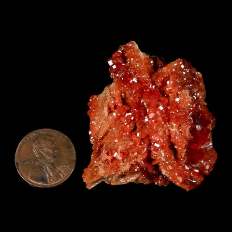 1.6" Sparkly Red Vanadinite Crystals On White Barite Blades Mineral Mabladen Morocco - Fossil Age Minerals