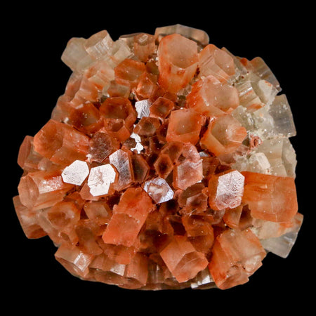 1.8" Aragonite Mineral Two Tone Crystal Cluster Specimen Tazouta Morocco