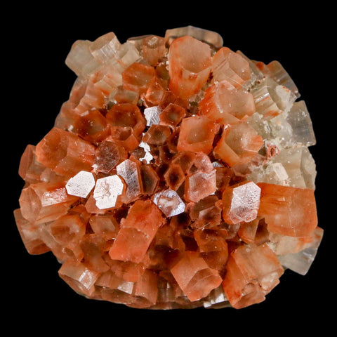 1.8" Aragonite Mineral Two Tone Crystal Cluster Specimen Tazouta Morocco - Fossil Age Minerals