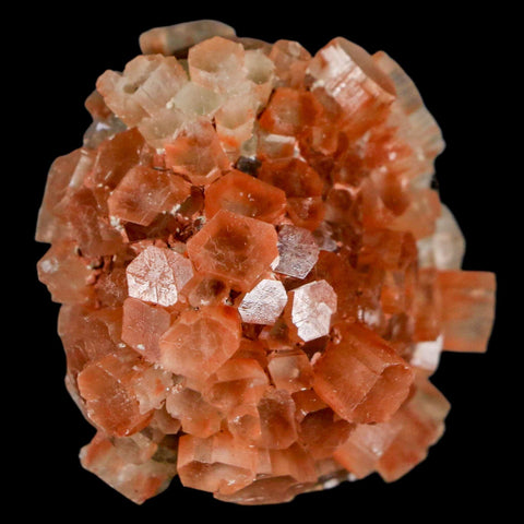 1.8" Aragonite Mineral Two Tone Crystal Cluster Specimen Tazouta Morocco - Fossil Age Minerals