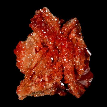 1.6" Sparkly Red Vanadinite Crystals On White Barite Blades Mineral Mabladen Morocco