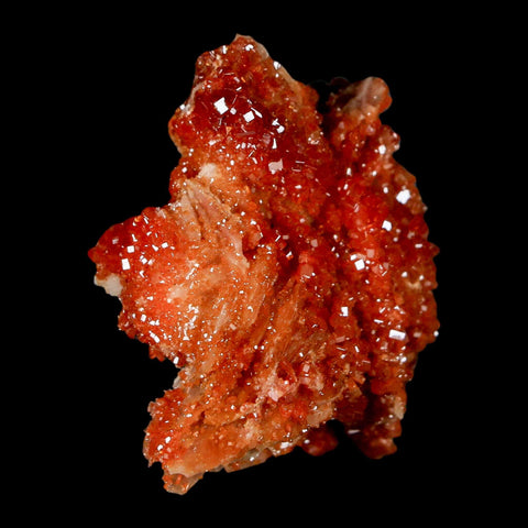 1.6" Sparkly Red Vanadinite Crystals On White Barite Blades Mineral Mabladen Morocco - Fossil Age Minerals