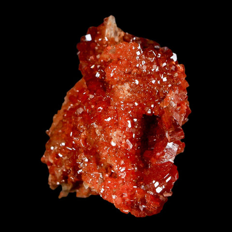 1.6" Sparkly Red Vanadinite Crystals On White Barite Blades Mineral Mabladen Morocco - Fossil Age Minerals