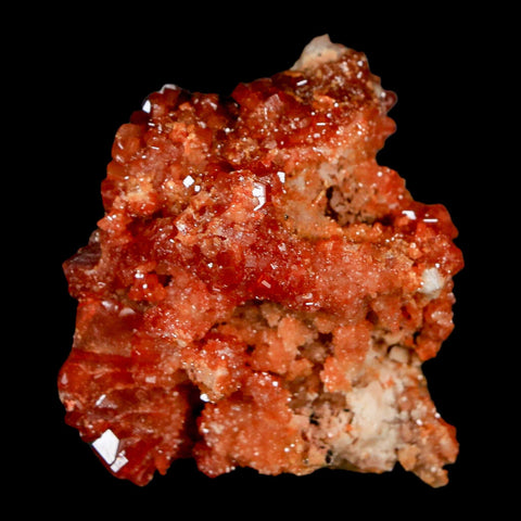 1.6" Sparkly Red Vanadinite Crystals On White Barite Blades Mineral Mabladen Morocco - Fossil Age Minerals