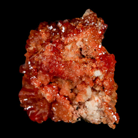 1.6" Sparkly Red Vanadinite Crystals On White Barite Blades Mineral Mabladen Morocco - Fossil Age Minerals