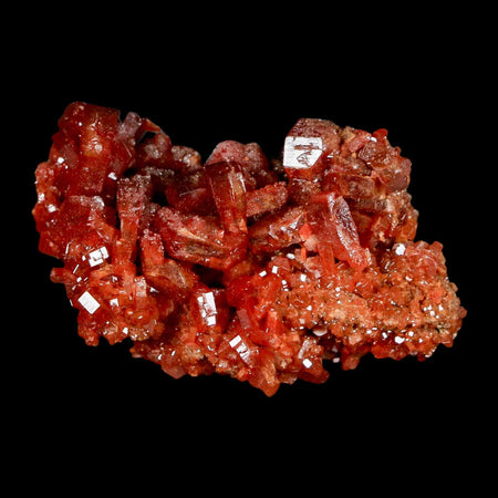 2" Sparkly Red Vanadinite Crystals On Barite Blades Mineral Mabladen Morocco