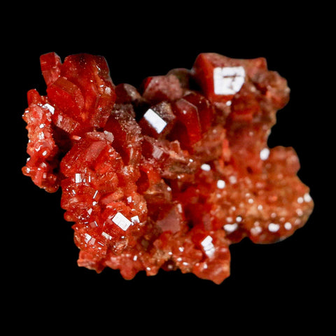 2" Sparkly Red Vanadinite Crystals On Barite Blades Mineral Mabladen Morocco - Fossil Age Minerals