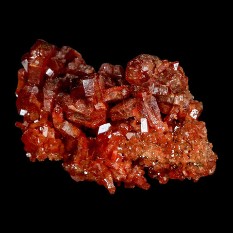 2" Sparkly Red Vanadinite Crystals On Barite Blades Mineral Mabladen Morocco - Fossil Age Minerals
