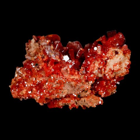 2" Sparkly Red Vanadinite Crystals On Barite Blades Mineral Mabladen Morocco - Fossil Age Minerals
