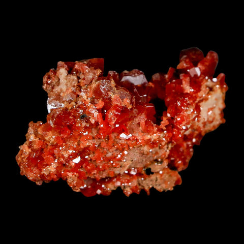 2" Sparkly Red Vanadinite Crystals On Barite Blades Mineral Mabladen Morocco - Fossil Age Minerals