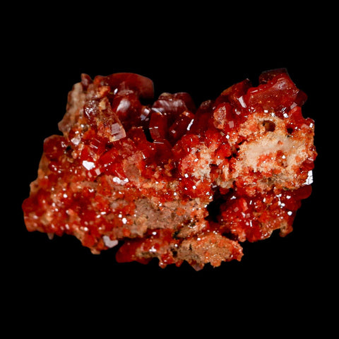 2" Sparkly Red Vanadinite Crystals On Barite Blades Mineral Mabladen Morocco - Fossil Age Minerals