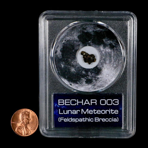 Moon Rock Lunar Meteorite Bechar 003 Algerian Sahara Desert Discovered 2022 COA
