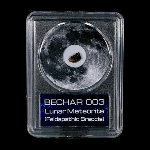 Moon Rock Lunar Meteorite Bechar 003 Algerian Sahara Desert Discovered 2022 COA
