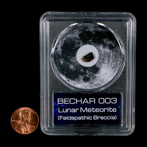 Moon Rock Lunar Meteorite Bechar 003 Algerian Sahara Desert Discovered 2022 COA