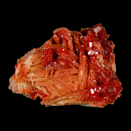 1.7" Sparkly Red Vanadinite Crystals on Orange Barite Blades Mineral Mabladen Morocco