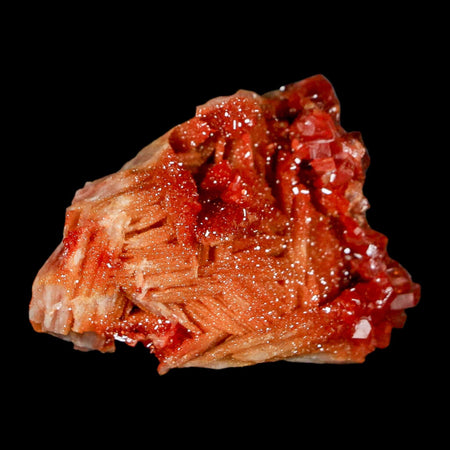 1.7" Sparkly Red Vanadinite Crystals on Orange Barite Blades Mineral Mabladen Morocco