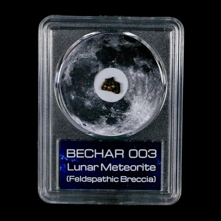 Moon Rock Lunar Meteorite Bechar 003 Algerian Sahara Desert Discovered 2022 COA