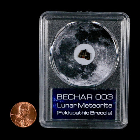 Moon Rock Lunar Meteorite Bechar 003 Algerian Sahara Desert Discovered 2022 COA