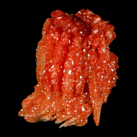 1.2" Sparkly Red Vanadinite Crystals on Orange Barite Blades Mineral Mabladen Morocco