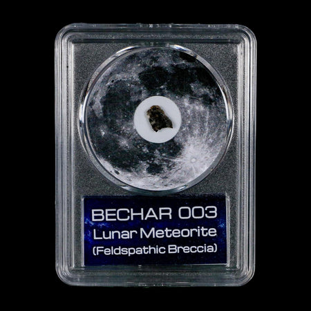 Moon Rock Lunar Meteorite Bechar 003 Algerian Sahara Desert Discovered 2022 COA