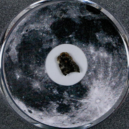 Moon Rock Lunar Meteorite Bechar 003 Algerian Sahara Desert Discovered 2022 COA