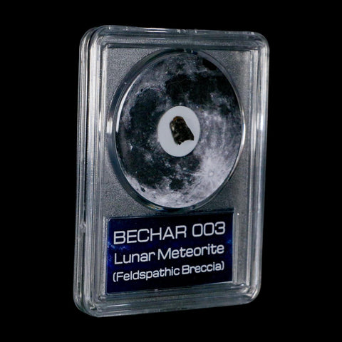 Moon Rock Lunar Meteorite Bechar 003 Algerian Sahara Desert Discovered 2022 COA