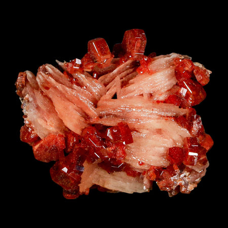 1.5" Sparkly Red Vanadinite Crystals on White Barite Blades Mineral Mabladen Morocco