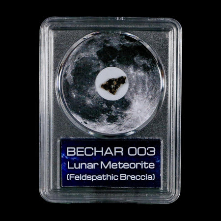 Moon Rock Lunar Meteorite Bechar 003 Algerian Sahara Desert Discovered 2022 COA