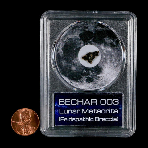 Moon Rock Lunar Meteorite Bechar 003 Algerian Sahara Desert Discovered 2022 COA