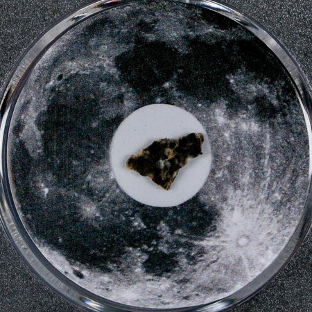 Moon Rock Lunar Meteorite Bechar 003 Algerian Sahara Desert Discovered 2022 COA