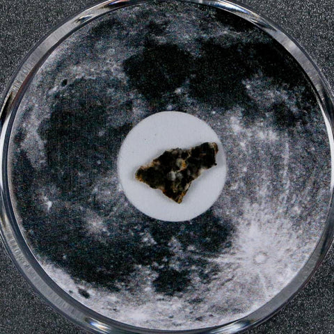 Moon Rock Lunar Meteorite Bechar 003 Algerian Sahara Desert Discovered 2022 COA