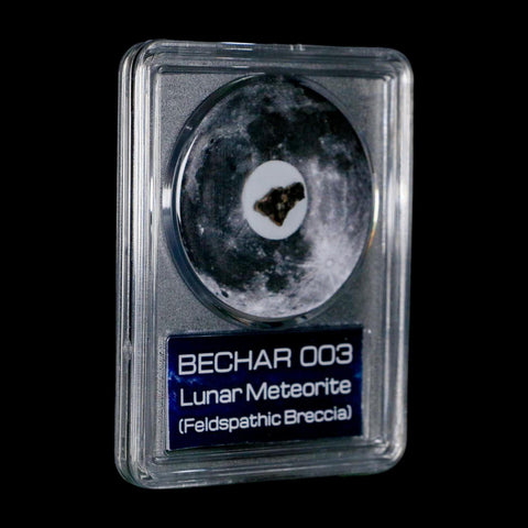 Moon Rock Lunar Meteorite Bechar 003 Algerian Sahara Desert Discovered 2022 COA