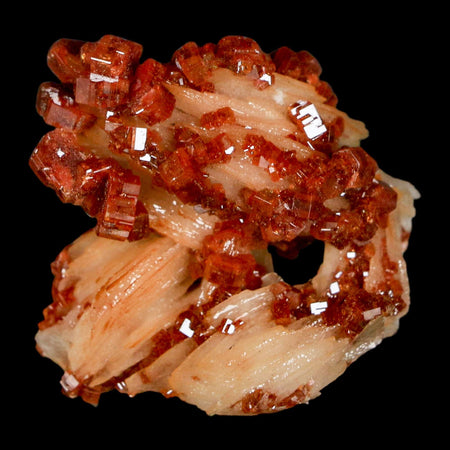 1.4" Sparkly Red Vanadinite Crystals on White Barite Blades Mineral Mabladen Morocco