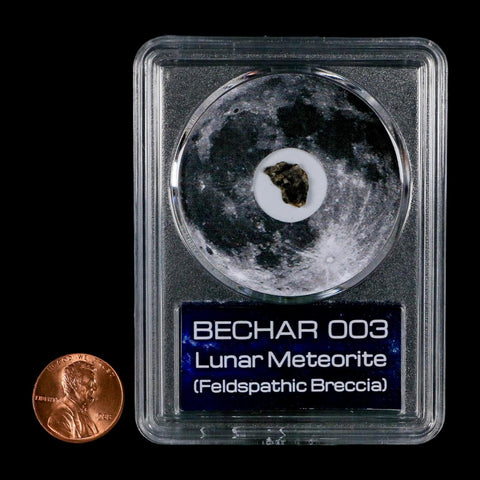 Moon Rock Lunar Meteorite Bechar 003 Algerian Sahara Desert Discovered 2022 COA
