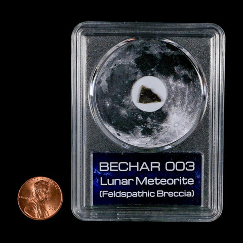 Moon Rock Lunar Meteorite Bechar 003 Algerian Sahara Desert Discovered 2022 COA