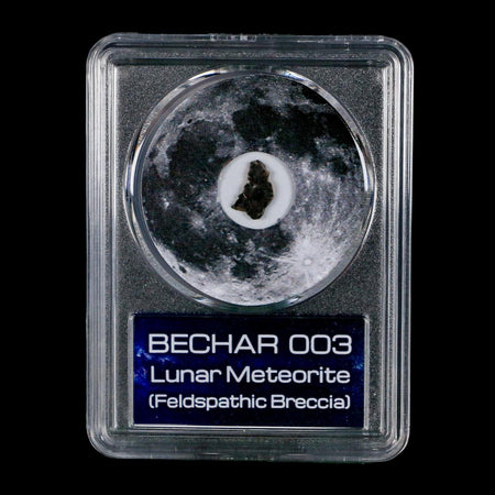 Moon Rock Lunar Meteorite Bechar 003 Algerian Sahara Desert Discovered 2022 COA