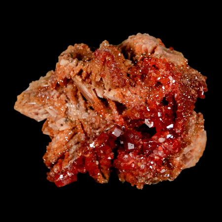 2.7" Sparkly Red Vanadinite Crystals on White Barite Blades Mineral Mabladen Morocco