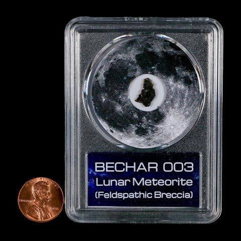 Moon Rock Lunar Meteorite Bechar 003 Algerian Sahara Desert Discovered 2022 COA