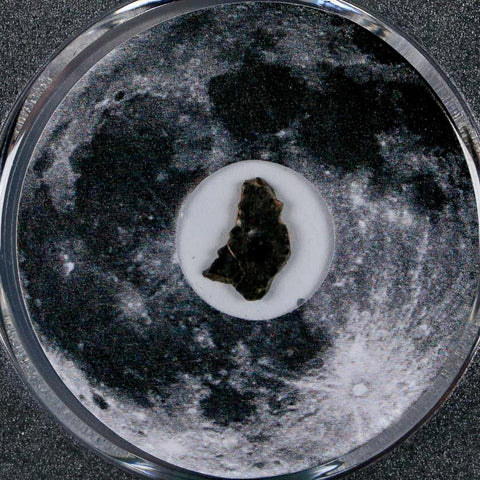 Moon Rock Lunar Meteorite Bechar 003 Algerian Sahara Desert Discovered 2022 COA