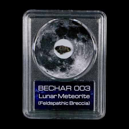 Moon Rock Lunar Meteorite Bechar 003 Algerian Sahara Desert Discovered 2022 COA
